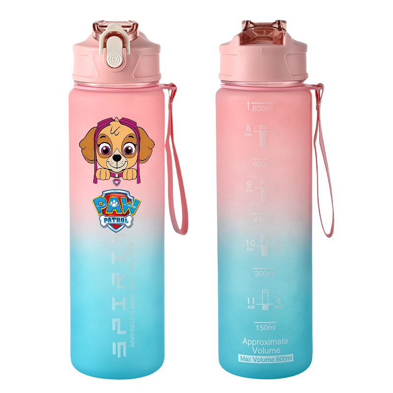 800 ml PAW Patrol Sportwasserf – Kids Outdoor Mud Kitchen Accessories Bewertung und Preis