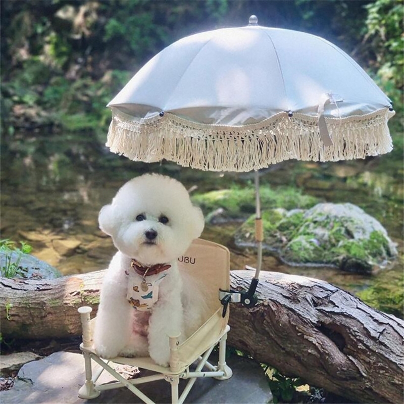 Kinder Fotografie Requisiten b – Kids Outdoor Umbrella Bewertung und Preis
